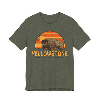 Yellowstone Bison Sunset